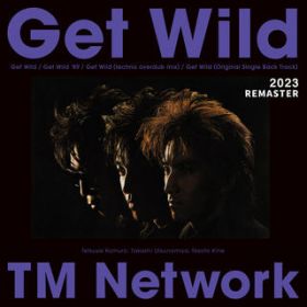 GET WILD (techno overdub mix) - 2023 REMASTER - / TM NETWORK