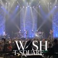 Ao - T-SQUARE HALL CONCERT TOUR 2022uWISHv@ȂHatch (Live) / T-SQUARE
