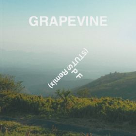 SPF(STUTS remix) / GRAPEVINE