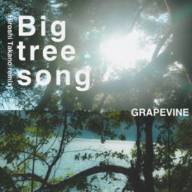 Big tree song(Hiroshi Takano remix) / GRAPEVINE
