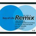 Key of Life Remix (Remixed by DJ CAMELEON)