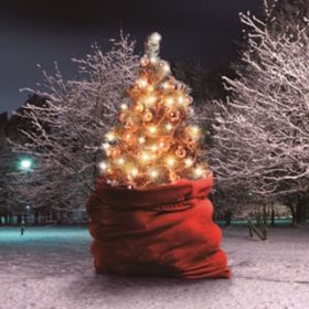 Ao - The Best Nightmare For Xmas / WHITE ASH