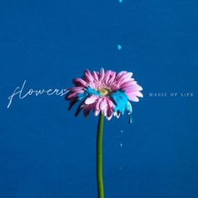 Ao - flowers / MAGIC OF LiFE
