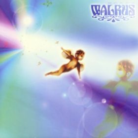 wade / WALRUS