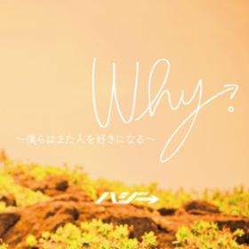 WhyB `l͂܂lDɂȂ ` (Instrumental) / nW