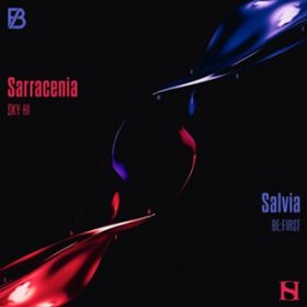 Sarracenia -Instrumental- / SKY-HI