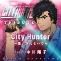 City Hunter `ȂŁ`