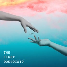 THE FIRST DOKKOISYO / a