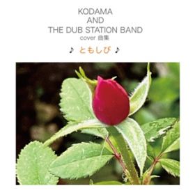 QQQ̋SY (DUB) / KODAMA AND THE DUB STATION BAND