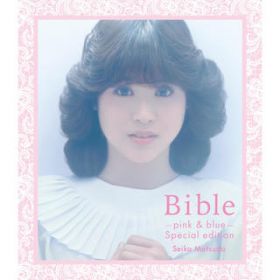 Ao - Bible-pink & blue- special edition / c@q