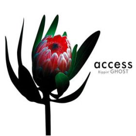 OZONE, IN THE NATIVE (extended dub mix) / access