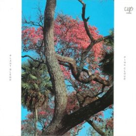 Ao - PLANT BLEND (2001 Remaster) / PINK CLOUD