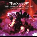 THE IRONHEARTED FLAG VolD2:REFORMATION SIDE