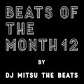 Ao - BEATS OF THE MONTH 12 / DJ Mitsu the Beats