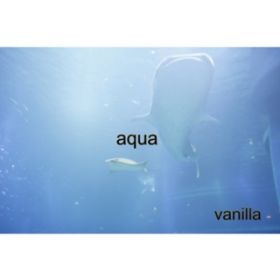 aqua / vanilla