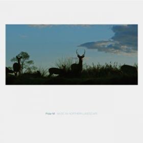 Ao - Music For Northern Landscape / Polar M