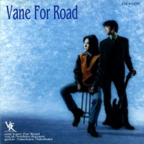 l / Vane For Road