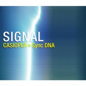 Ao - SIGNAL / CASIOPEA with Synchronized DNA