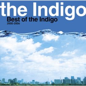 肢 / the Indigo