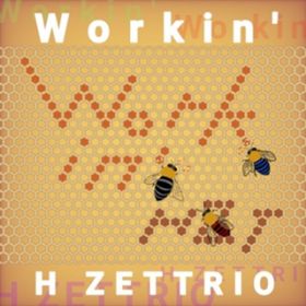 Workinf / H ZETTRIO