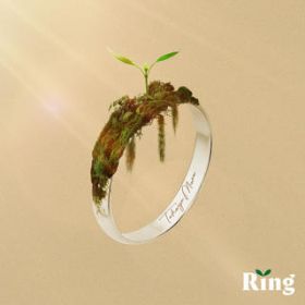 Ring / OY
