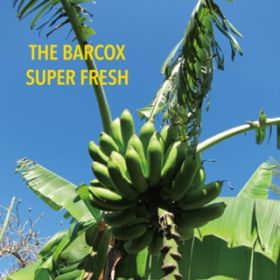 Ao - SUPER FRESH / THE BARCOX