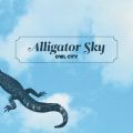 AEEVeB[̋/VO - Alligator Sky