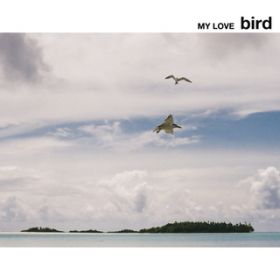 Ao - MY LOVE / bird