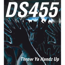 Ao - Throw Ya Handz Up / DS455