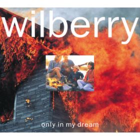 light my hands / Wilberry