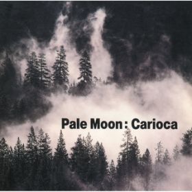 Ao - Pale:Moon / JIJ