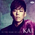 KAI̋/VO - In The Name Of Love