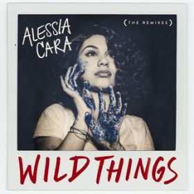 Wild Things (MK Remix) / AbVAEJ[