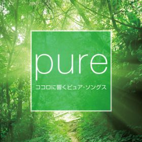 Ao - PURE`SɋPURE songs` / @AXEA[eBXg
