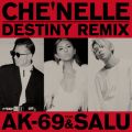 Destiny feat. AK-69/SALU (Remix)