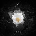AB[`[̋/VO - \[E}b`Ex^[ feat. ThEJ@bU (Avicii Remix)