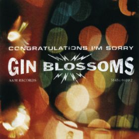 Not Only Numb / GIN BLOSSOMS