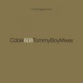 Ao - Cubik (The Tommy Boy Mixes) / 808 State