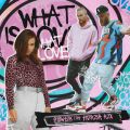 VEebN̋/VO - What Is Love feat. Theresa Rex