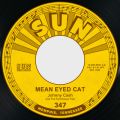 Ao - Mean Eyed Cat ^ Port of Lonely Hearts featD The Tennessee Two / Wj[ELbV