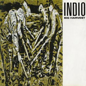 Save For The Memory / Indio