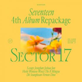 Ao - SEVENTEEN 4th Album Repackage eSECTOR 17f / SEVENTEEN