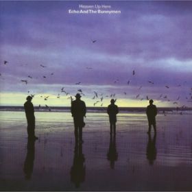 All I Want (Live) / Echo And The Bunnymen