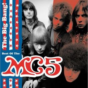 I Can Only Give You Everything / The MC5