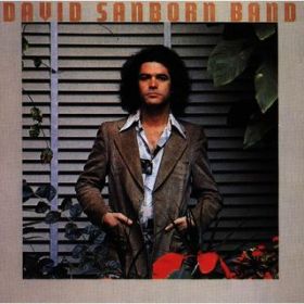 Morning Salsa / David Sanborn