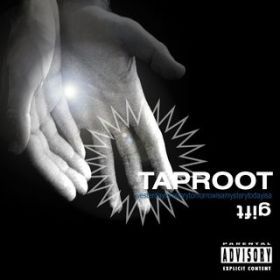 Mirror's Reflection / TapRoot