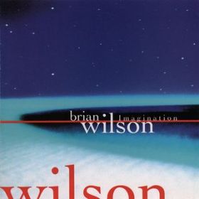 Let Him Run Wild / Brian Wilson