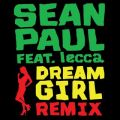Dream Girl (featD Lecca) [Remix]