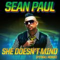 Sean Paul̋/VO - She Doesn't Mind (Pitbull Remix)