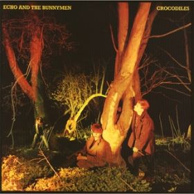 Crocodiles (Live) / Echo & The Bunnymen